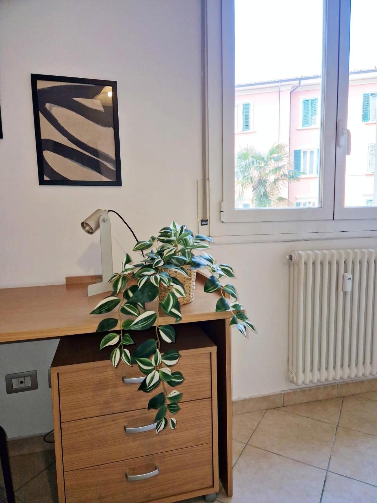 Homeserra 2 Bologna Luaran gambar